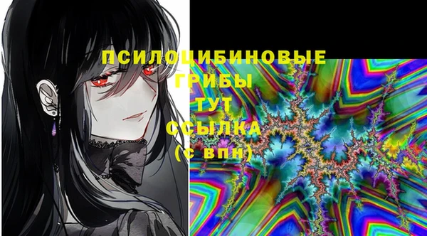 ПСИЛОЦИБИНОВЫЕ ГРИБЫ Армянск