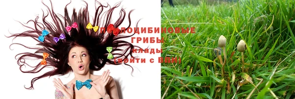 трава Арсеньев