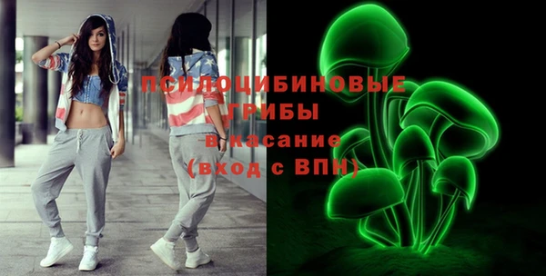 ПСИЛОЦИБИНОВЫЕ ГРИБЫ Армянск