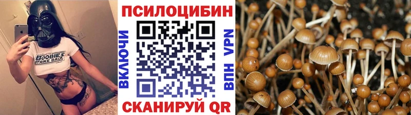 Псилоцибиновые грибы ЛСД  где купить   KRAKEN маркетплейс  Сорск 